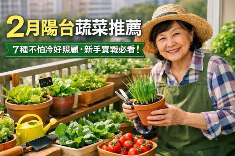 2月陽台蔬菜推薦：7種不怕冷好照顧，新手實戰必看 圖/AI