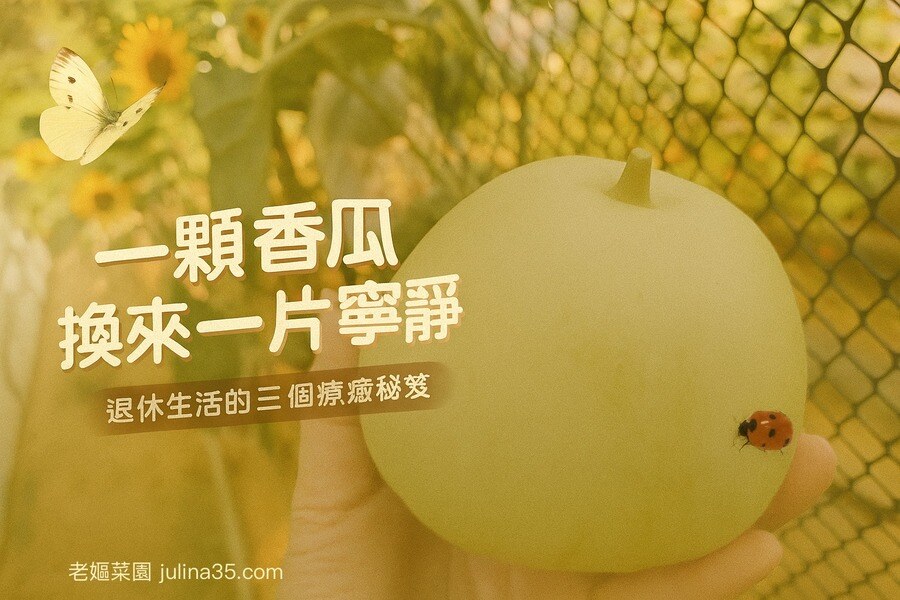 一顆「香瓜」換來一片寧靜：退休生活的3個療癒秘訣 圖/AI