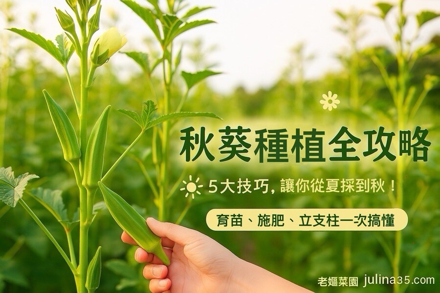 秋葵」種植全攻略：5大技巧讓你從夏採到秋！圖/AI