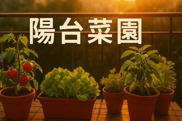 陽台變菜園！從3個花盆開始打造你的療癒小天地   圖/AI
