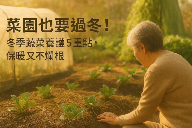 菜園也要過冬！冬季蔬菜養護 5 重點，保暖又不爛根 圖/AI