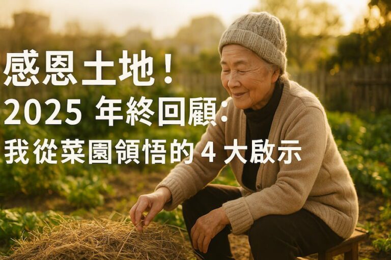 感恩土地！2025 年終回顧：我從菜園領悟的 4 大啟示 圖/AI