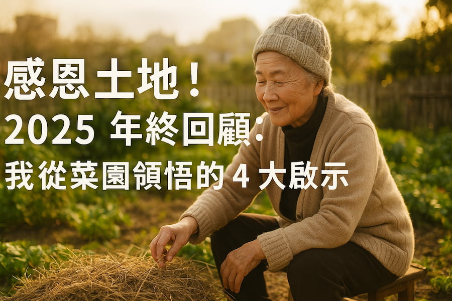 感恩土地！2025 年終回顧：我從菜園領悟的 4 大啟示 圖/AI