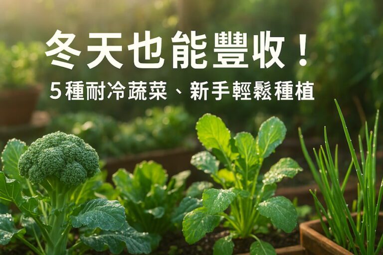冬天也能豐收！5 種不怕凍、好照顧，新手輕鬆種植 圖/AI