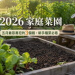 2026 家庭菜園:5 月最容易犯的3個錯,新手種菜必看 圖/AI