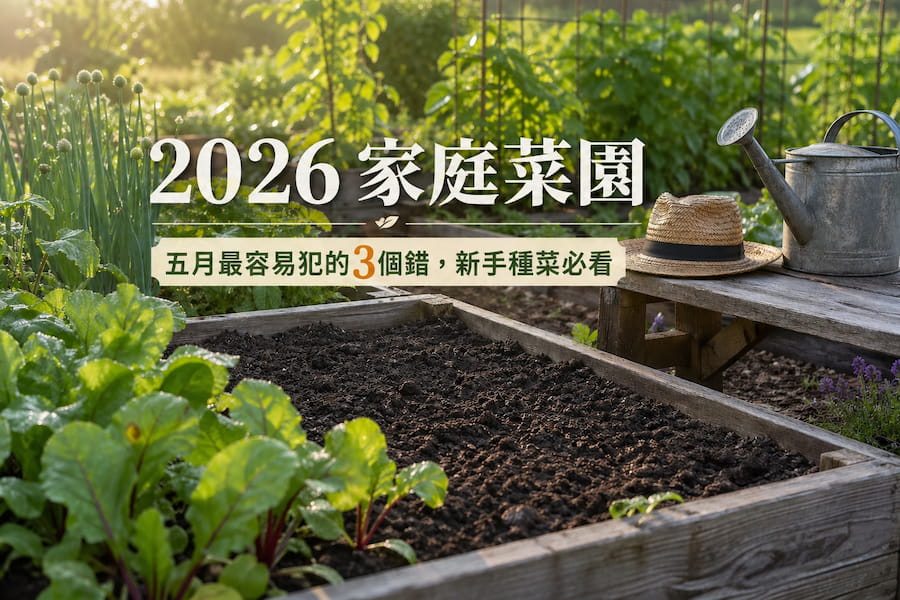 2026 家庭菜園：5 月最容易犯的3個錯，新手種菜必看 圖/AI