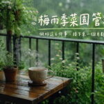 梅雨季菜園管理:做好這 6 件事,接下來一個月都輕鬆 圖/AI