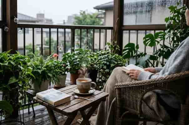 梅雨季菜園管理:做好這 6 件事,接下來一個月都輕鬆 圖/AI