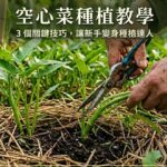 空心菜種植教學：3 個關鍵技巧，讓新手變身種植達人 圖/AI