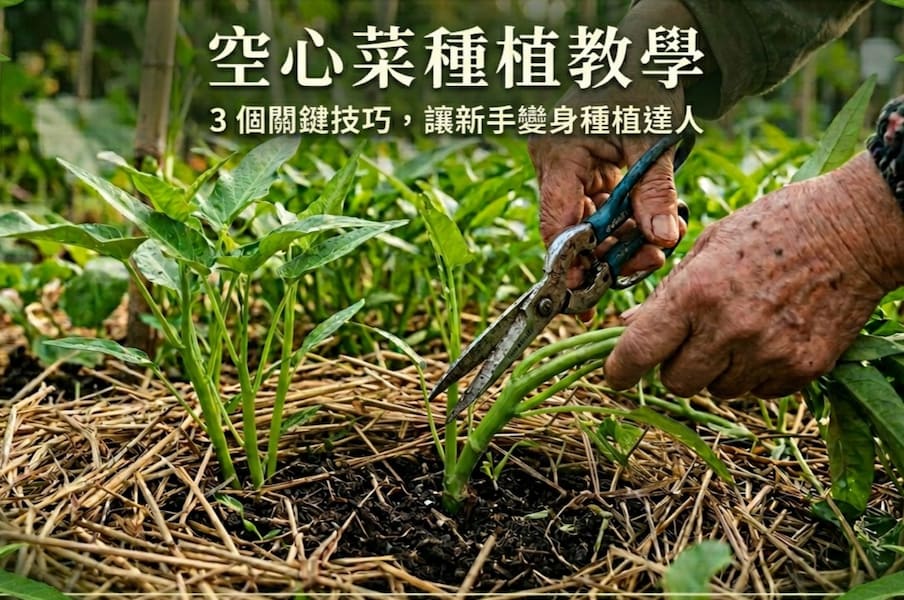 空心菜種植教學：3 個關鍵技巧，讓新手變身種植達人 圖/AI