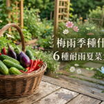 《梅雨季種什麼? 6 種耐雨悶的夏菜新手名單大公開》 圖/AI