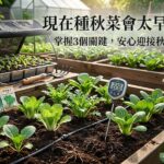 現在種秋菜會太早嗎？掌握3個關鍵，答案很多人不知 圖/AI