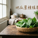 地瓜葉種植教學：新手必看 5 個理由，輕鬆種、收成快 圖/AI