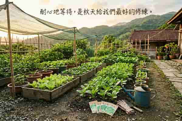 現在種秋菜會太早嗎?掌握3個關鍵,答案很多人不知 圖/AI