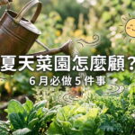 夏天菜園怎麼顧？6 月必做 5 件事，新手也能輕鬆上手 圖/AI