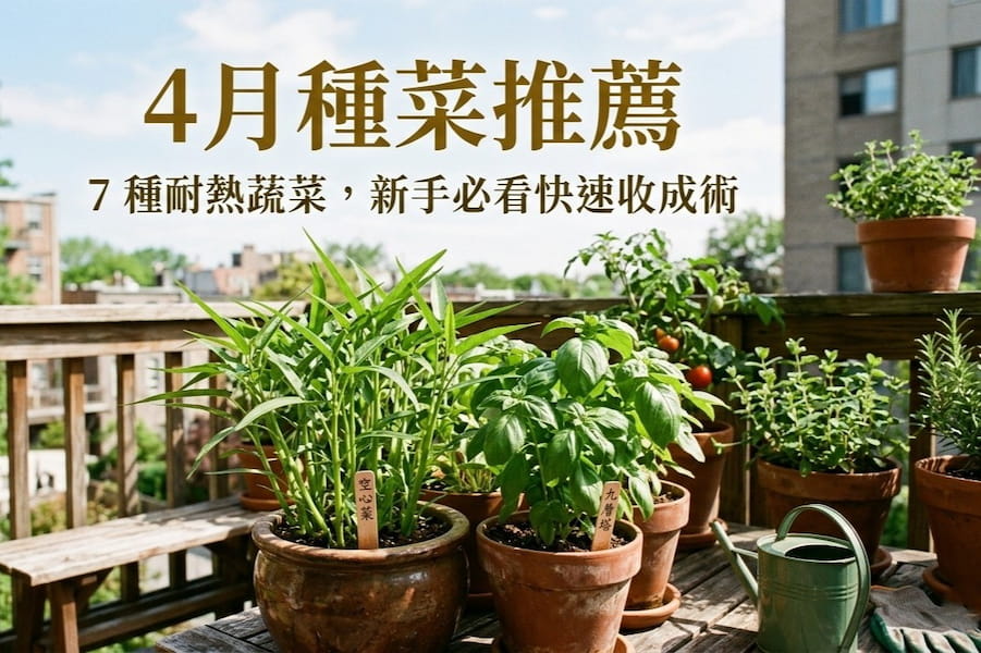4 月種菜推薦