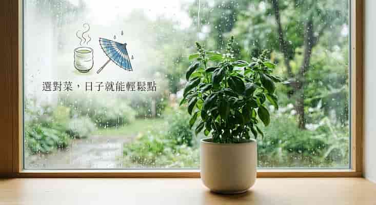 《梅雨季種什麼？ 6 種耐雨悶的夏菜新手名單大公開》  圖/AI