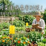 6月菜園病蟲害別慌!掌握5步處理法,天氣再熱也不怕 圖/AI
