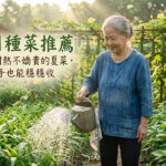 6月種菜推薦:7種耐熱不嬌貴的夏菜,新手也能穩穩收 圖/AI