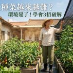 為什麼夏天種菜越來越難?環境變了!學會3招破解 圖/AI
