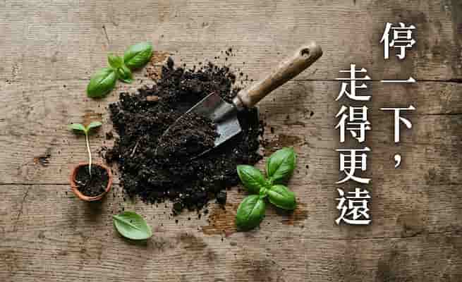 四月菜園檢查表：做好這 6 件事，5 月種植不手忙腳亂    圖/AI