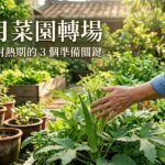 四月菜園轉場：2026家庭菜園進入耐熱期3個準備關鍵 圖/AI