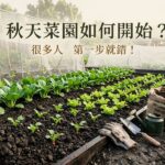 秋天菜園如何開始?很多人第一步就錯!掌握3個關鍵 圖/AI