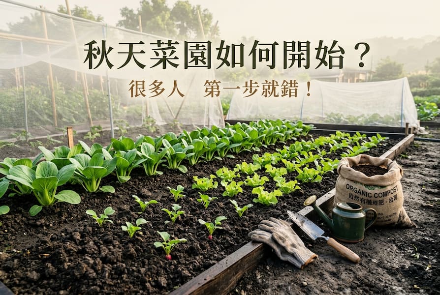 秋天菜園如何開始?很多人第一步就錯!掌握3個關鍵 圖/AI