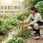 颱風後菜園怎麼救?照這5步驟,讓蔬菜慢慢活回來 圖/AI