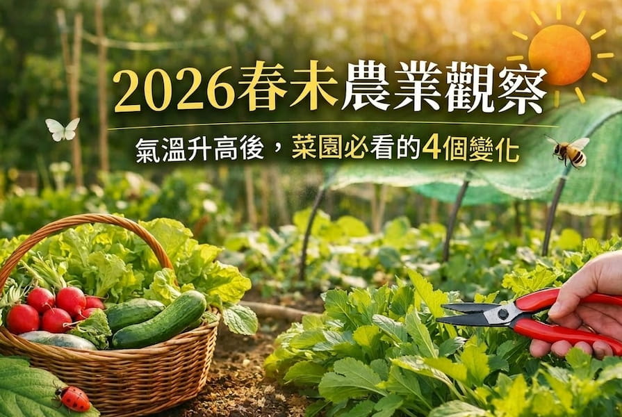 2026 春末農業觀察：氣溫升高後，菜園必看的4個變化 圖/ AI