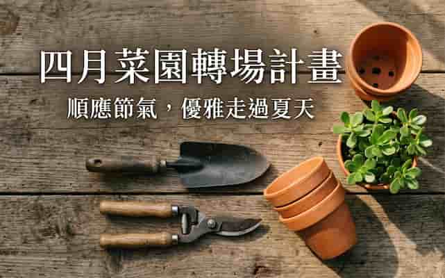 四月菜園轉場：2026家庭菜園進入耐熱期3個準備關鍵   圖/AI
