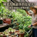 我種菜失敗最多的是夏天！分享3個菜園避坑實戰經驗 圖/AI