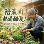 陪菜園熬過酷夏!我才發現菜園教我的3個人生智慧 圖/AI