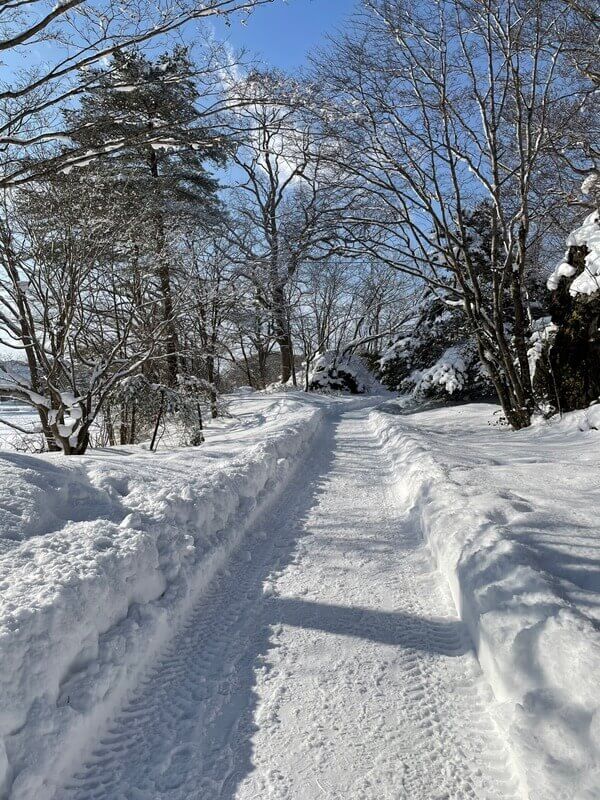 『樂齡』生活說走就走之北海道