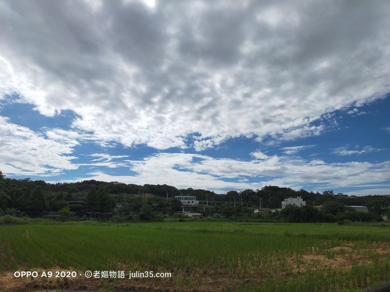 退休生活必看！5個種菜理由擺脫高物價壓力 圖/老嫗菜園