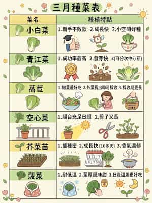 三月種菜推薦：6種快速收成葉菜，新手陽台必看     圖/AI
