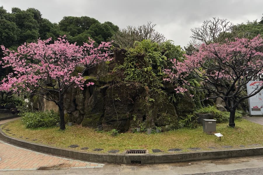 💞愛，不是毫無保留地給