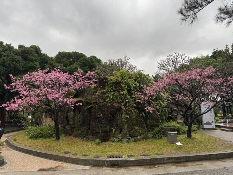 親密但須越界？ 3招掌握「邊界感」，讓愛更自在！ 圖/老嫗