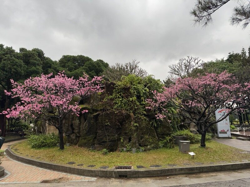 親密但須越界？ 3招掌握「邊界感」，讓愛更自在！ 圖/老嫗