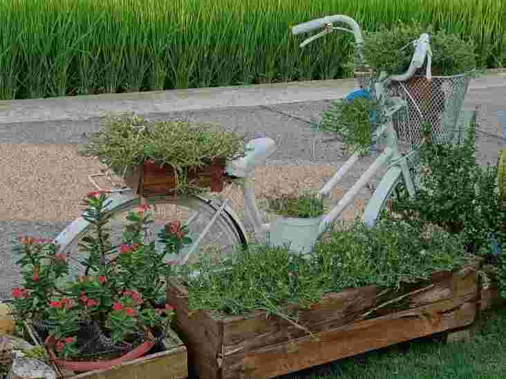 告別焦慮！如何在「 2025 」年活出更好的自己？     圖/老嫗