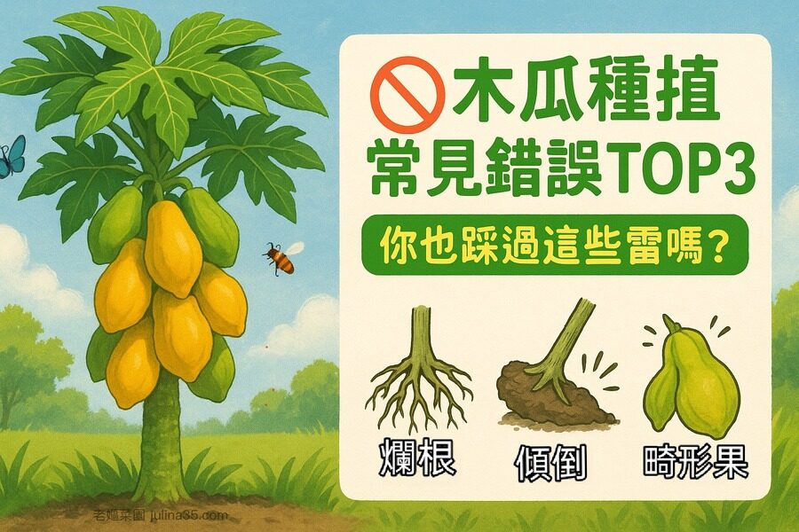 「木瓜」種植常見錯誤TOP3：你也踩過這些雷嗎？圖/AI