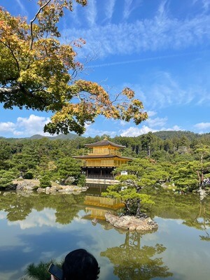 金碧輝煌的金閣寺，又稱為鹿苑寺