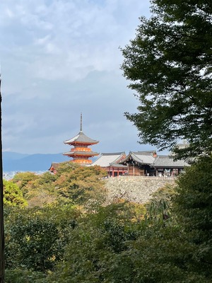 清水寺地標「三重塔」，自古以來一直是清水寺的象徵。