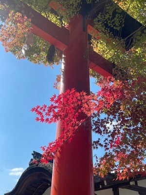 宇治上神社