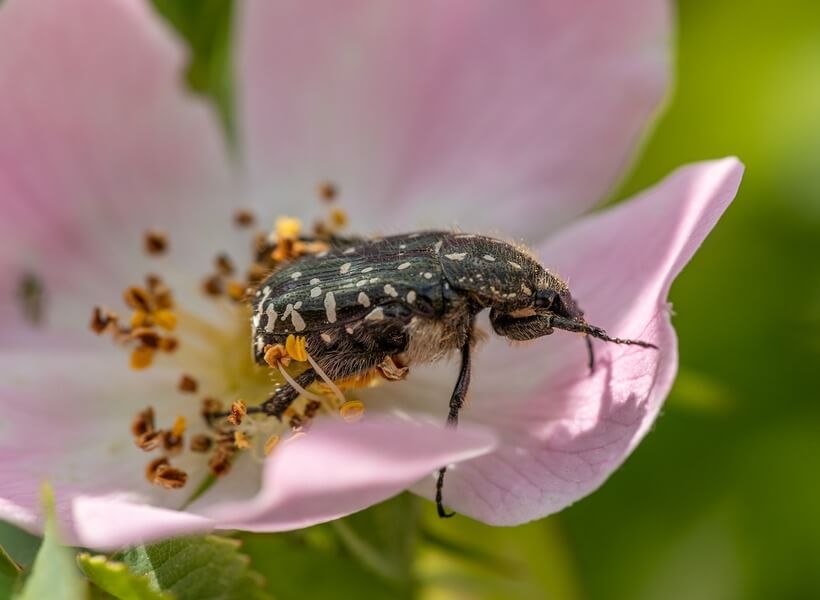 50後拒絕情緒勒索 圖/pexels